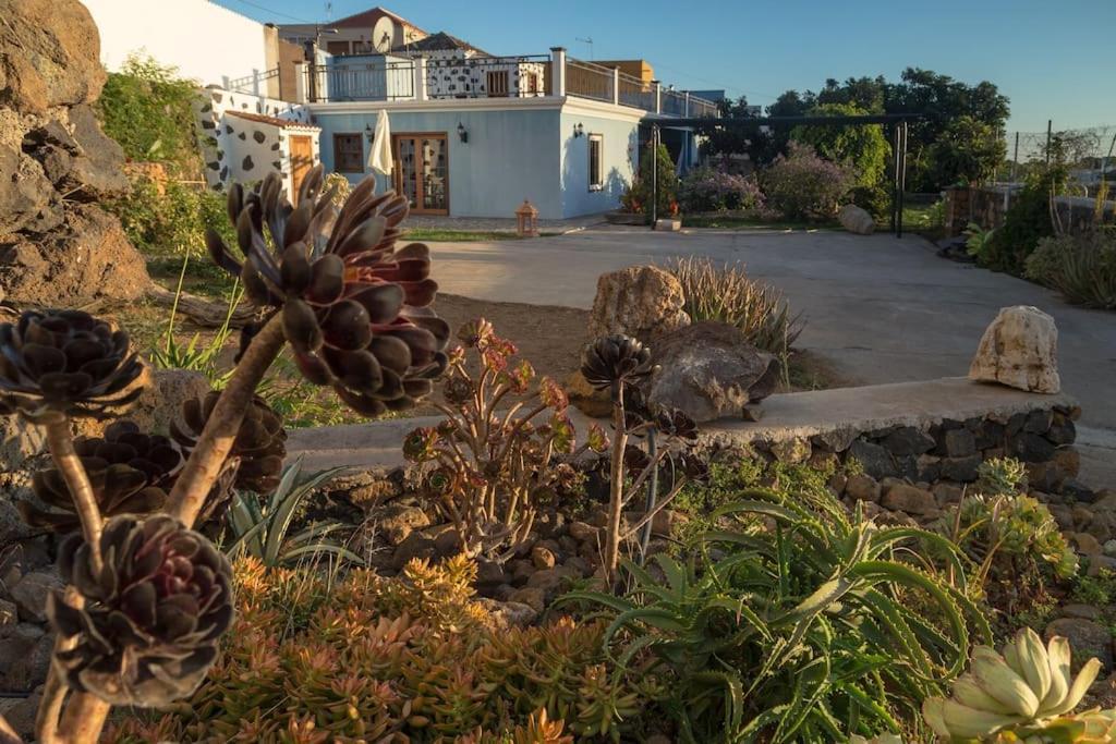 Апартаменти Casa Hilda 1 Ель-Пасо Екстер'єр фото